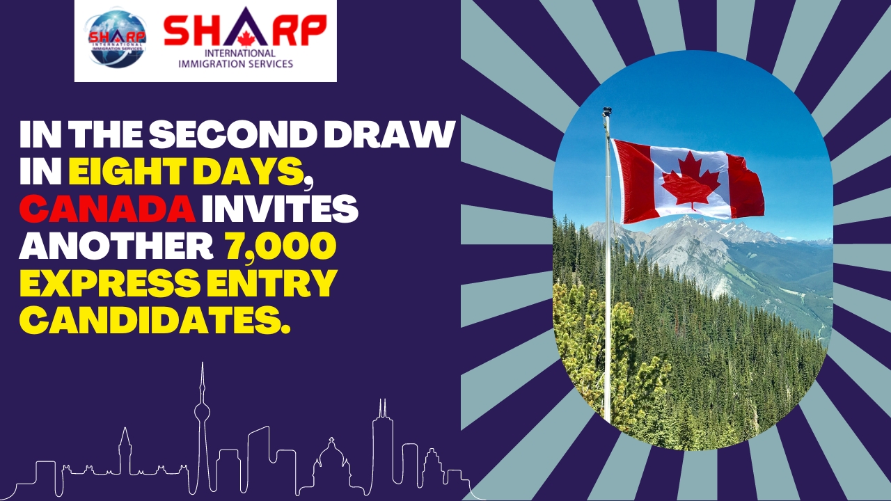 canada express entry draw,new wxpress entry draw,ircc,canada,canada immigration news,immigration,siis,sharp immigration,siis canada